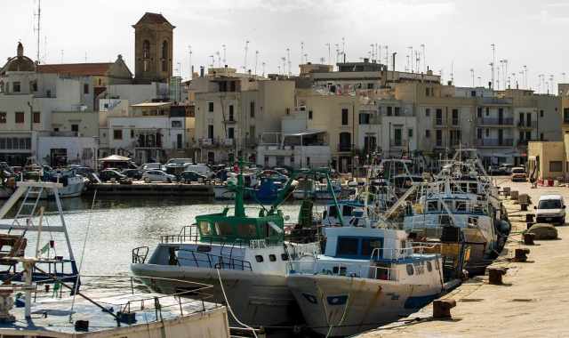 Porto, cantieri navali, mercato ittico e pescherecci: Mola e il suo stretto rapporto con il mare